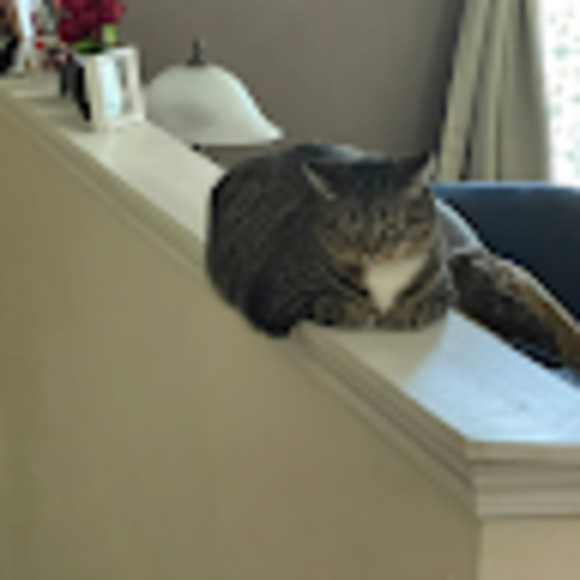 Meet your Posher, Aida - Picture 1 of 1